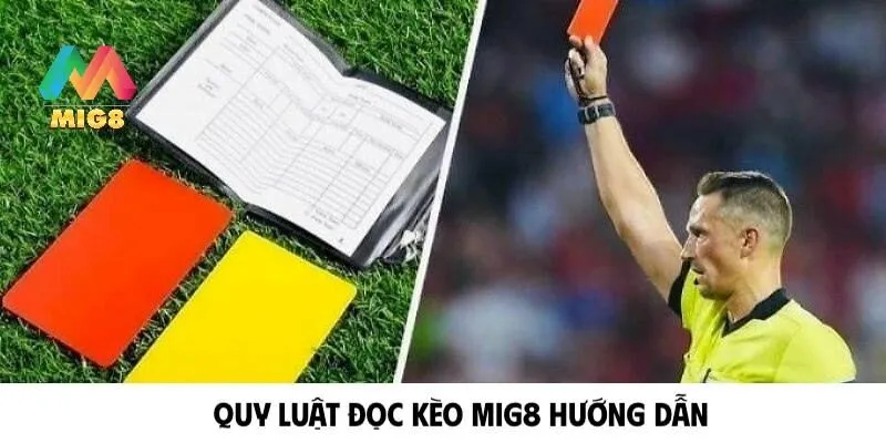 Quy luật đọc kèo MIG8 hướng dẫn